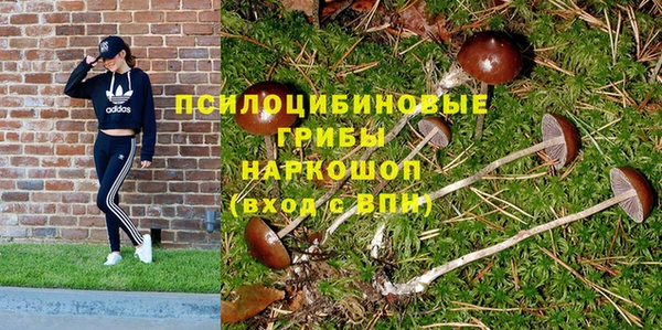 jwh Алзамай