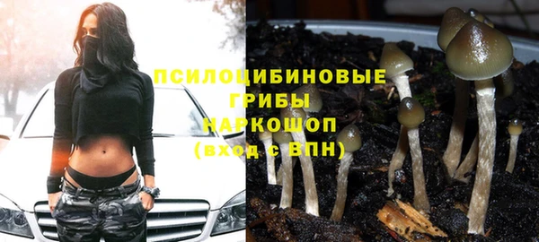 герыч Алексин